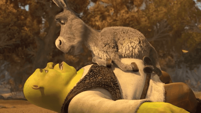 Pensa come Shrek! — Hai offeso Ciuchino. Come rimedi?