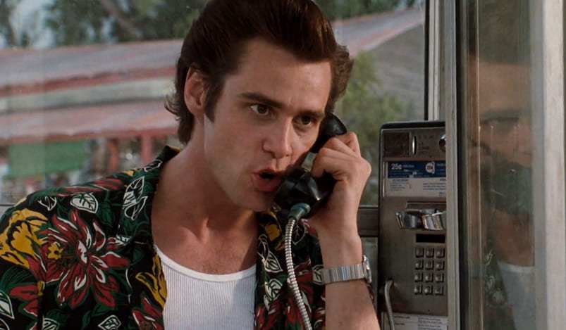 Myśl jak Ace Ventura! — Odkrywasz, że przestępca ukrywa się w zoo. Jak go znajdziesz?