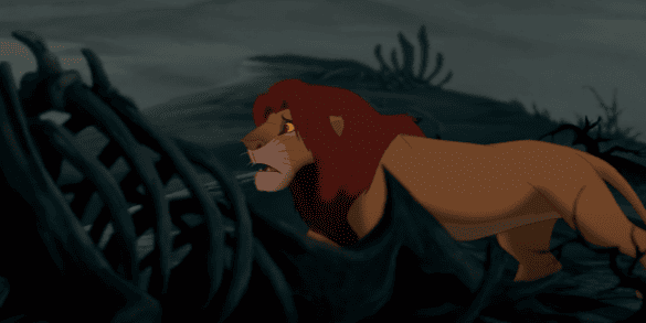 Il Re Leone — Cosa succede alle Terre del Branco sotto il regno di Scar?