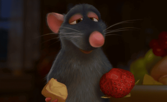 Ratatouille: a história de Remy — O que Remy gosta de fazer, ao contrário de outros ratos que apenas comem lixo?