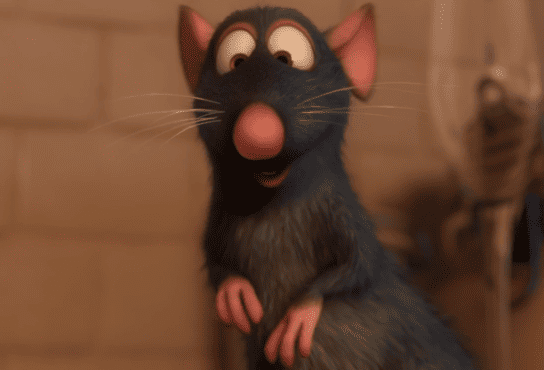 Ratatouille: a história de Remy — Como Remy se separou de sua família durante a fuga?