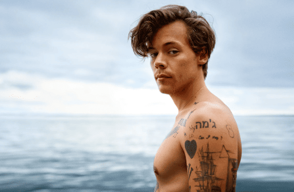 Indovina le canzoni di Harry Styles