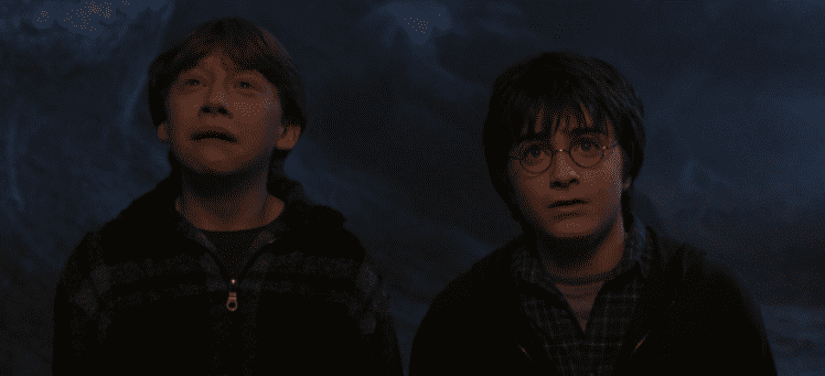 Chi sei nei film di Harry Potter?