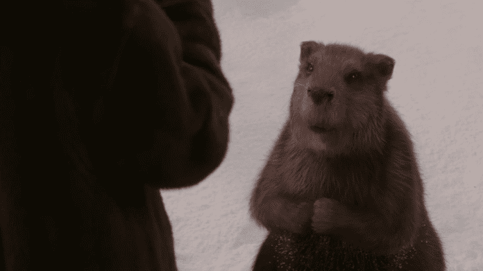 Adivina la película por una imagen — ¿De qué película es esta escena?