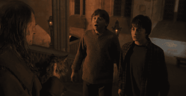 Chi sei nei film di Harry Potter? — Cosa vorresti vedere nello Specchio delle Brame?