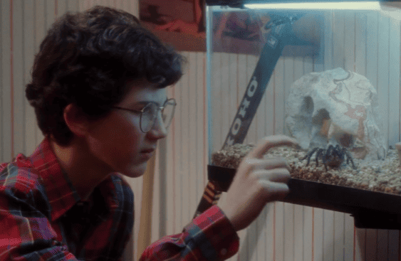 La trama de la película «Solo en casa» — ¿Sobre quién cayó la tarántula de Buzz?