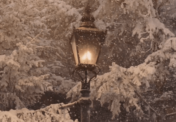 Test über Die Chroniken von Narnia — Wer von den Kindern fand als Erster den Durchgang nach Narnia?