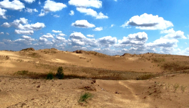 General Geography of Ukraine — In which region is the largest desert in Europe located?