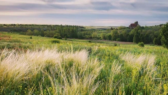 General Geography of Ukraine — Which natural zone occupies the largest area of Ukraine?