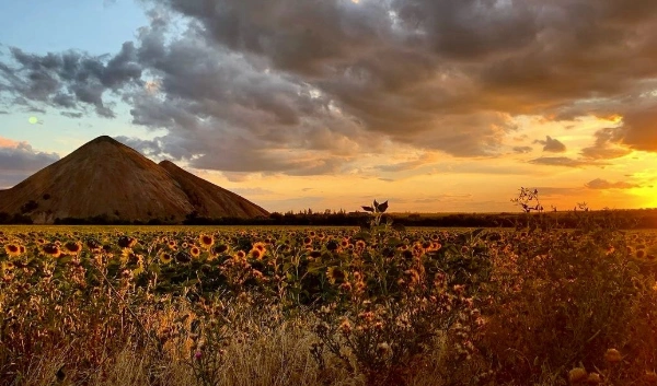 General Geography of Ukraine — Which type of climate is dominant in Ukraine?