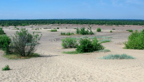 Geography of Poland — Where is the Błędów Desert located?